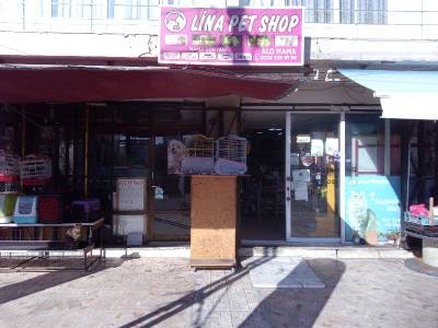 Lina Petshop storefront
